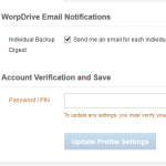 Worpdrive Backup Summary Digest Email