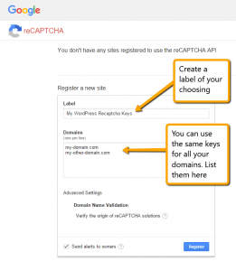 Google ReCaptcha Register Your Domains
